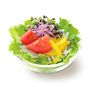 こだわり野菜のサラダS 和風ドレッシング<減塩タイプ>