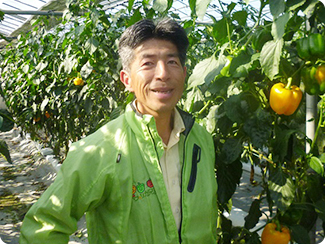 大分県臼杵市 はしもと農園(パプリカ) 代表生産者 橋本 文博さん