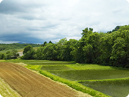 岩手町風景1