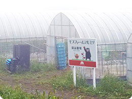 標高800mの阿蘇農場