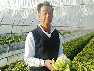 株式会社ベジタブルズ金剛 代表生産者 木下 一司さん