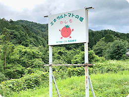 加子母トマト生産組合の看板