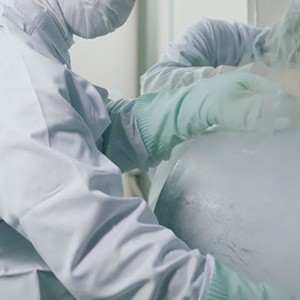 モスの安全・安心