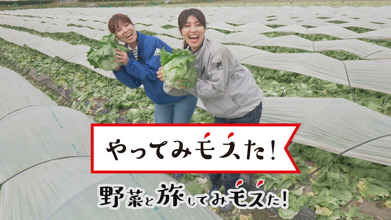 やってみモスた！