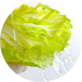 crispy lettuce