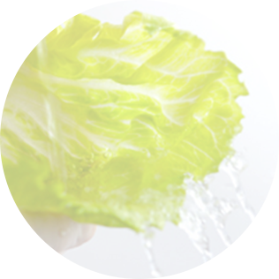 crispy lettuce