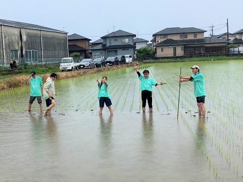 田植え会の様子