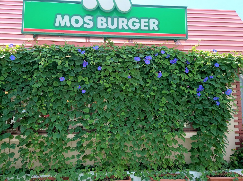 優秀賞のモスバーガー静岡国一店