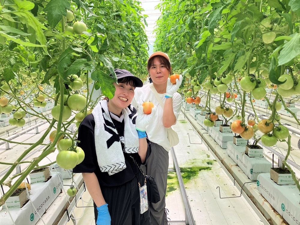 宮城】「宮城県産野菜フェスタ」を開催 ｜ おいしい生野菜を ｜ モスの