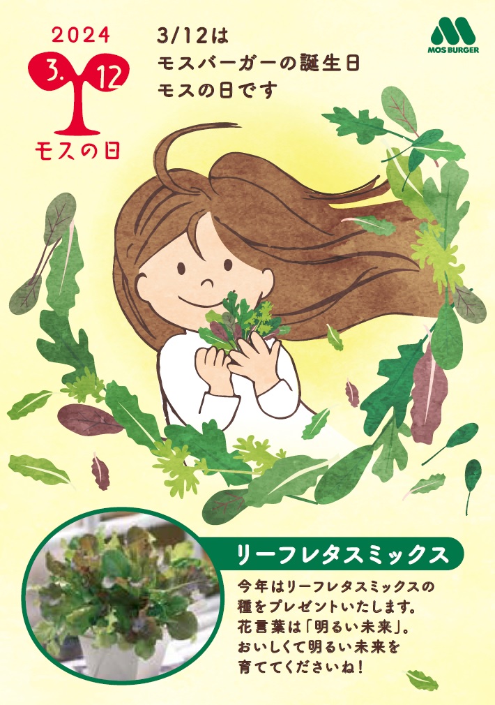 リーフレタスミックスの種をプレゼント