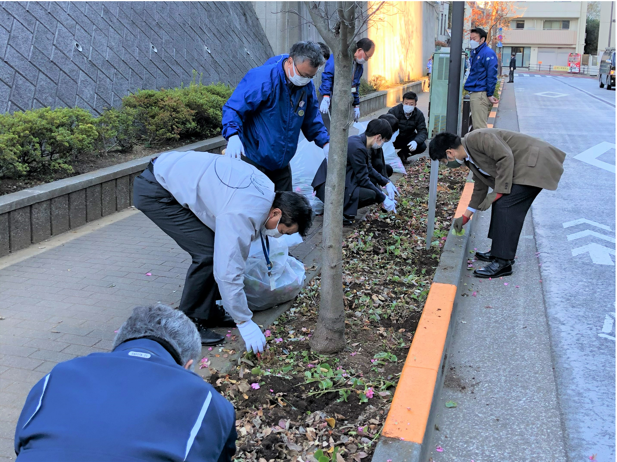 花壇の手入れ