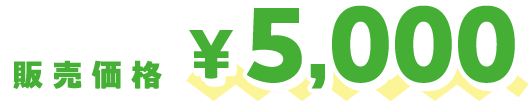 販売価格 ¥5,000