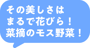 その美しさはまるで花びら！菜摘のモス野菜！!