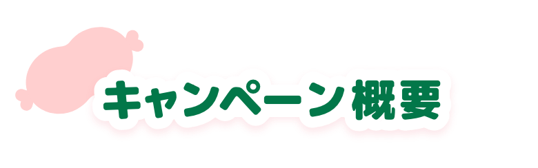 キャンペーン概要