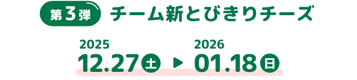 第3弾 チーム新とびきりチーズ 2025 12.27土 2026 01.18日