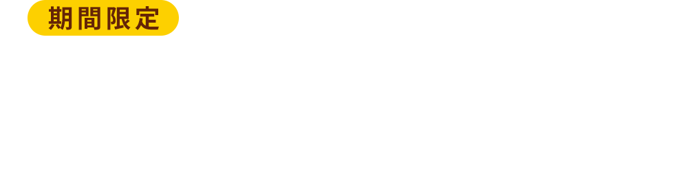 期間限定 メンチカツチーズバーガー〜デミグラスソース〜 ¥510
